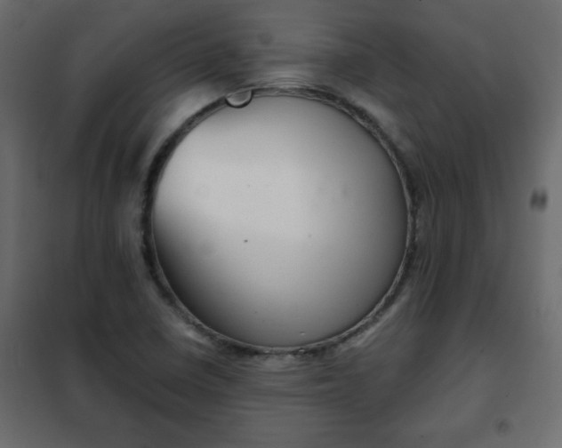 X0000102341410200808081119