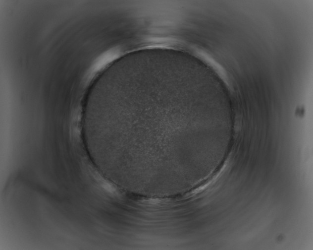 X0000102341411200808081119