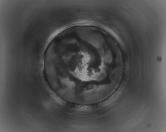 X0000102341413200808081119