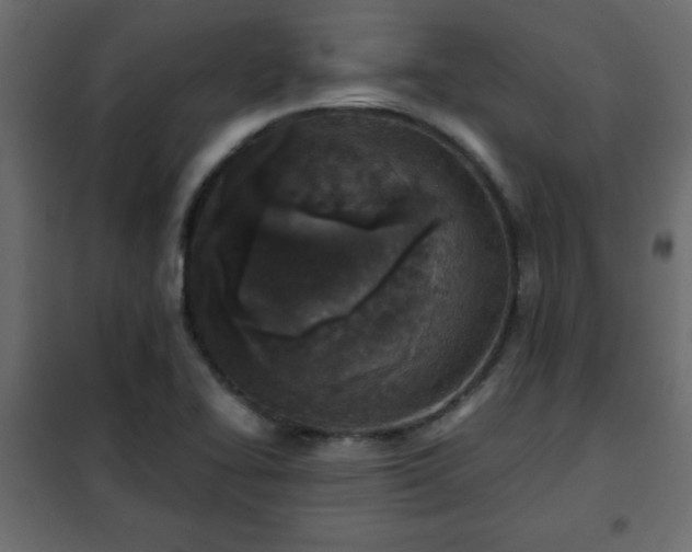 X0000102341414200808081119