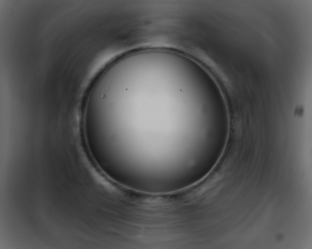 X0000102341416200808081120