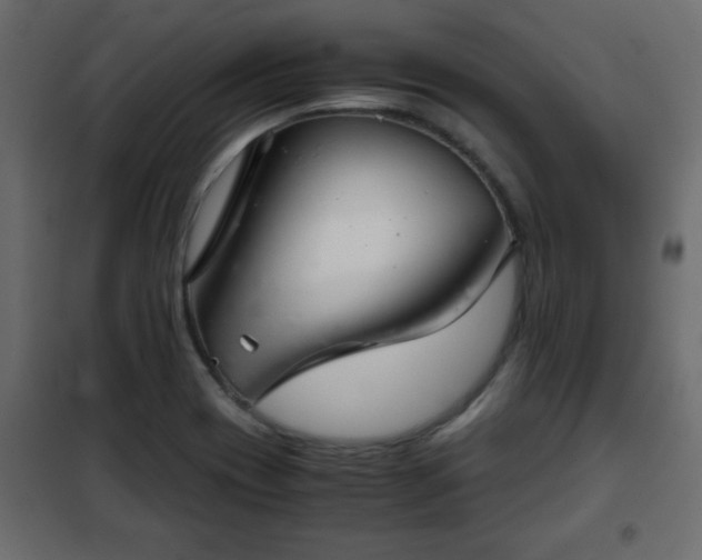 X0000102341417200808081120