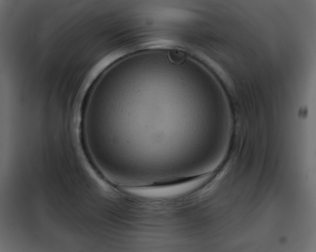 X0000102341418200808081120