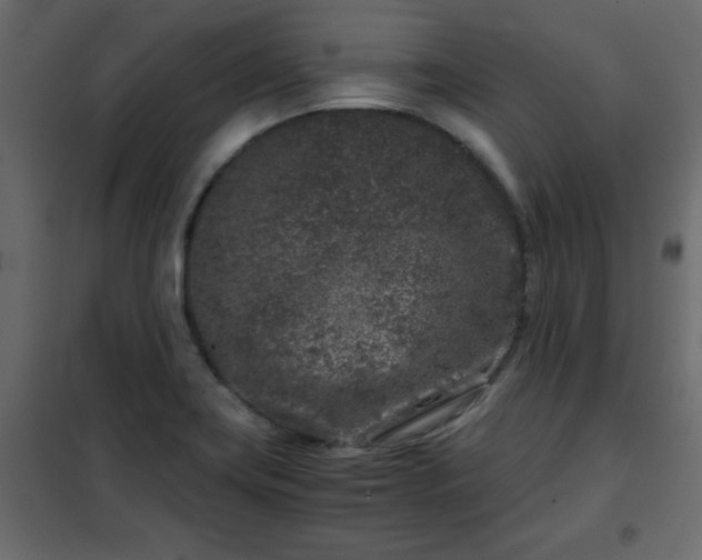 X0000102341419200808081120