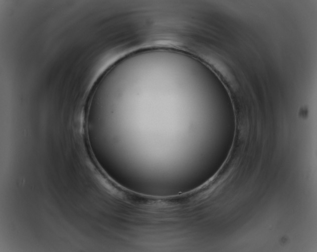 X0000102341420200808081120