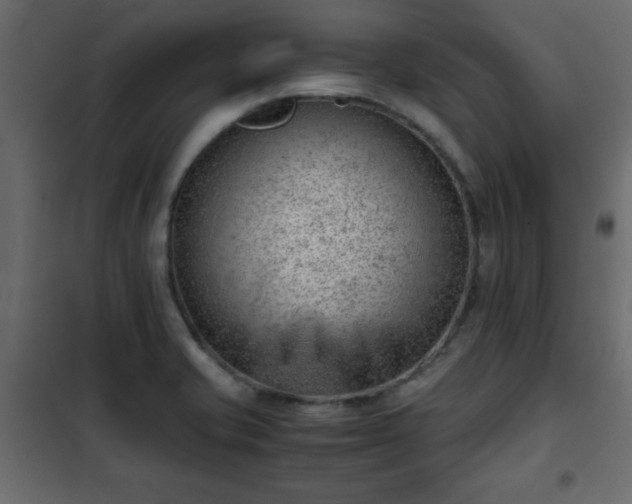 X0000102341421200808081120