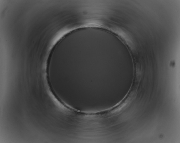 X0000102341422200808081120