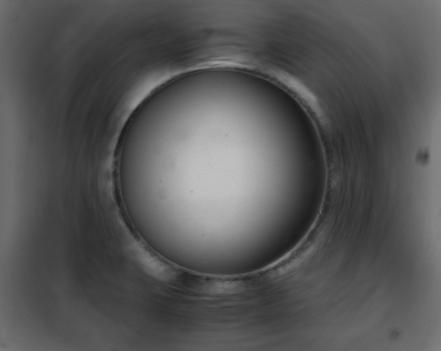 X0000102341423200808081120