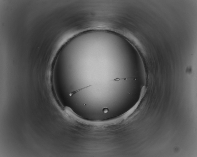 X0000102341424200808081120