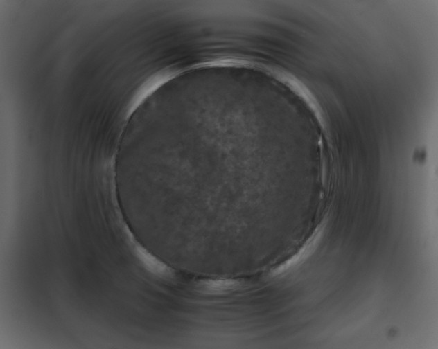 X0000102341425200808081120