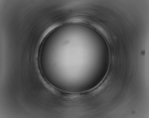 X0000102341426200808081120