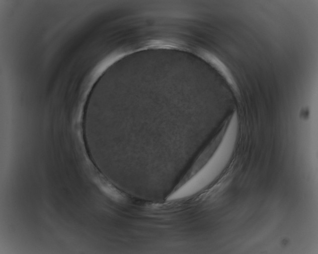 X0000102341427200808081120