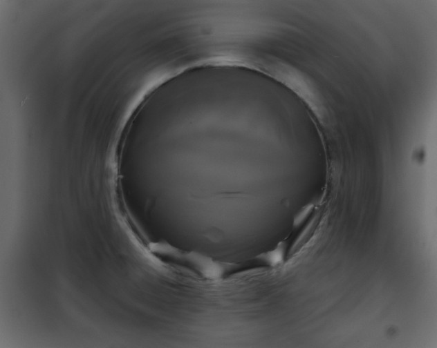 X0000102341428200808081120