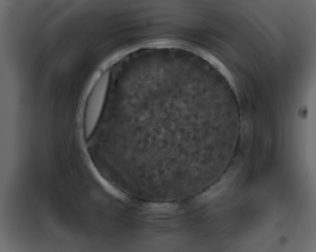 X0000102341429200808081120