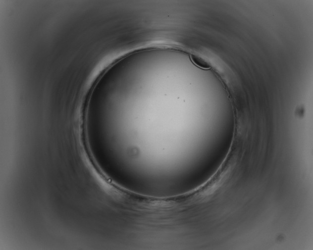 X0000102341430200808081120