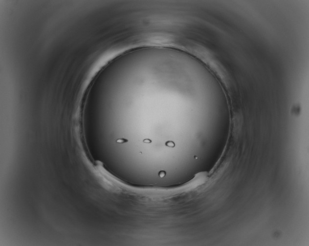 X0000102341432200808081120