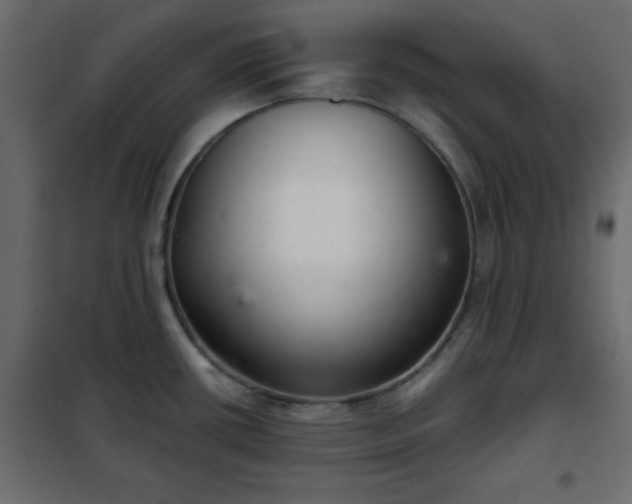 X0000102341434200808081120