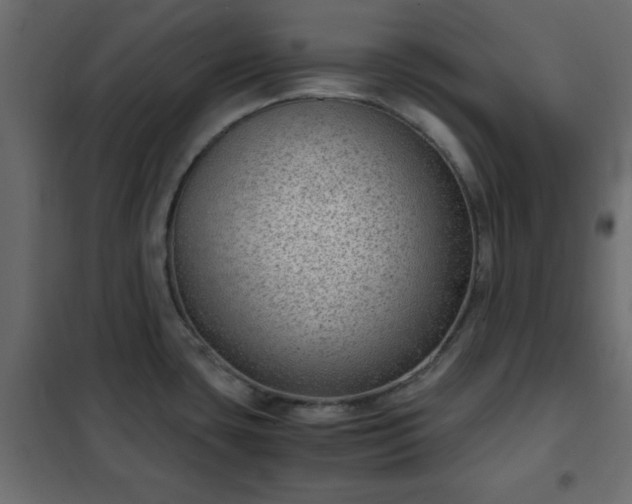 X0000102341435200808081120