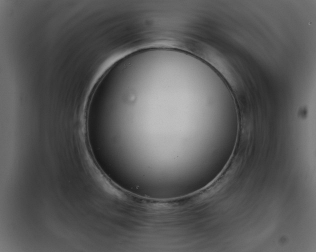 X0000102341436200808081120