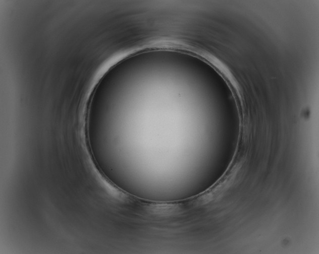 X0000102341437200808081120