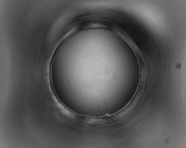 X0000102341439200808081120