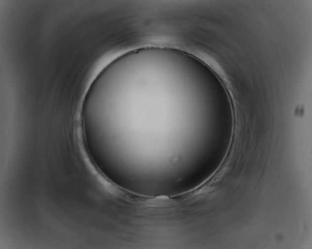 X0000102341440200808081120