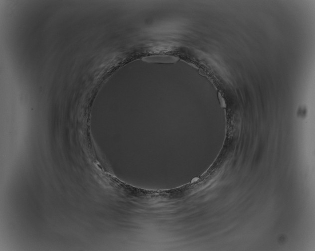 X0000102341441200808081119