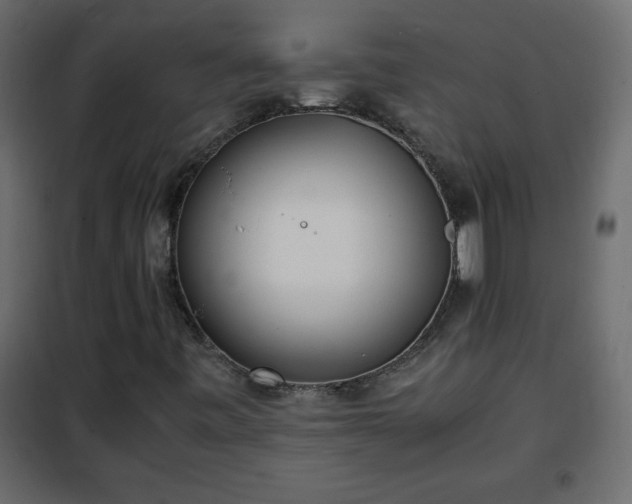 X0000102341443200808081119