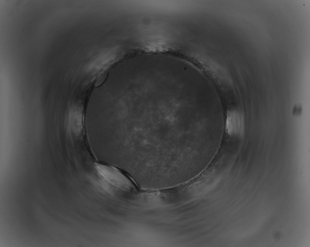 X0000102341444200808081119