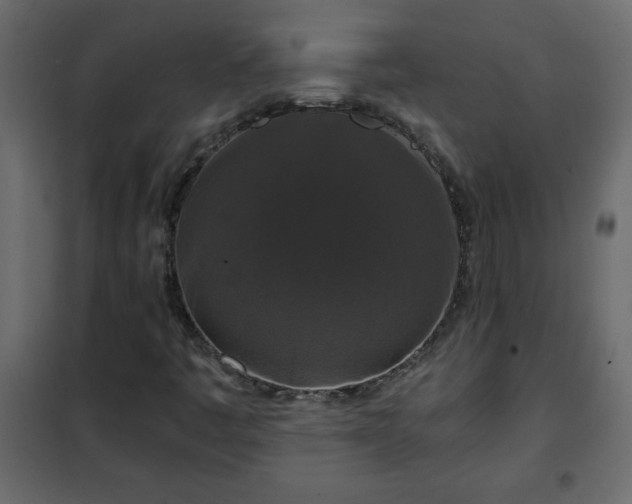 X0000102341445200808081119