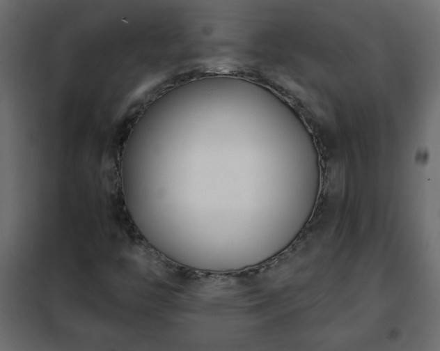 X0000102341446200808081119