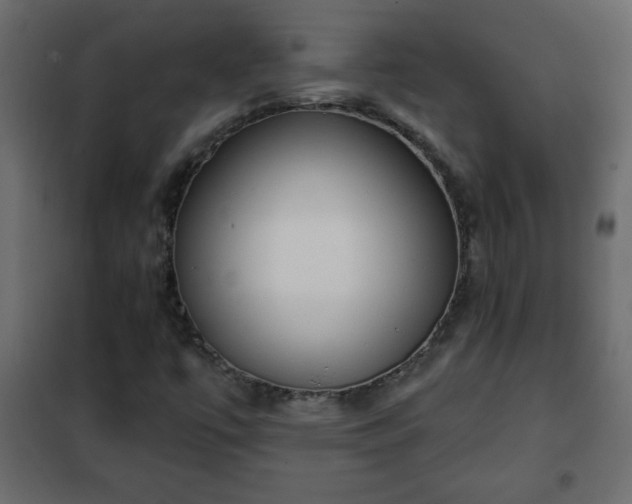 X0000102341447200808081119