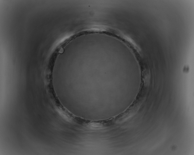 X0000102341448200808081119