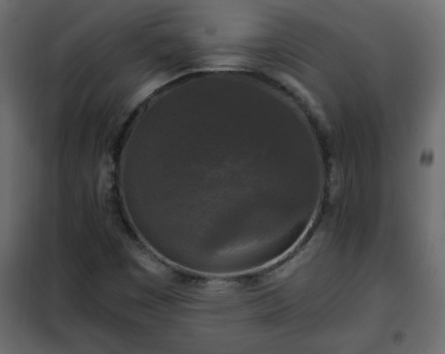 X0000102341449200808081119