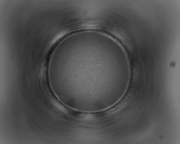 X0000102341450200808081119