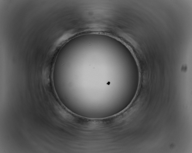 X0000102341451200808081119