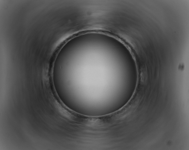 X0000102341452200808081119