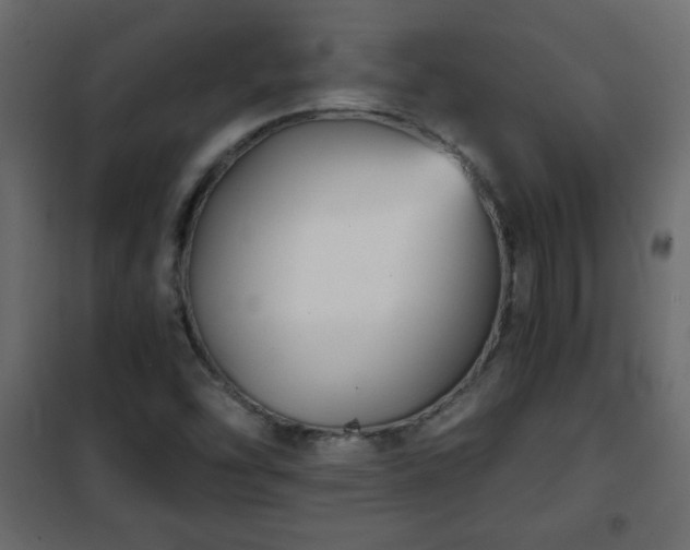 X0000102341454200808081119