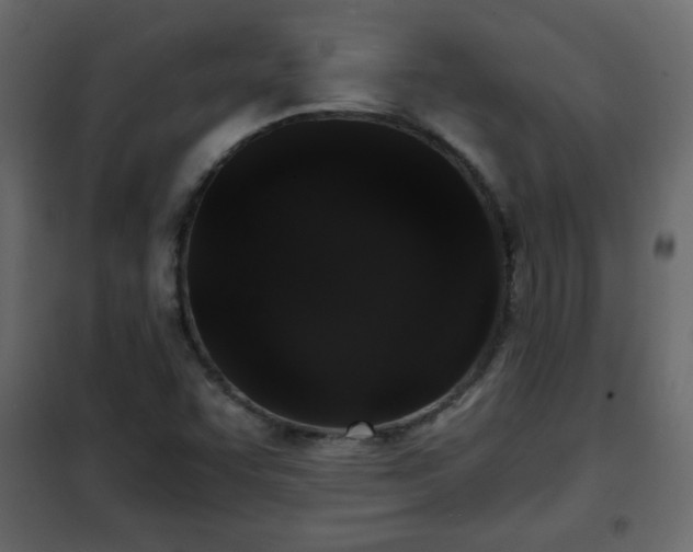 X0000102341455200808081119