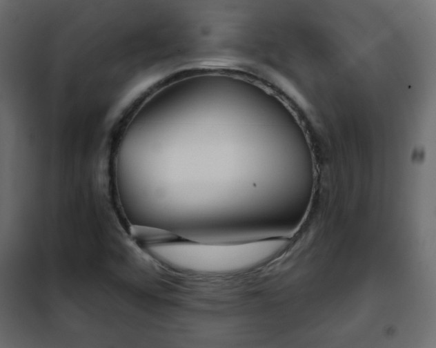 X0000102341456200808081119