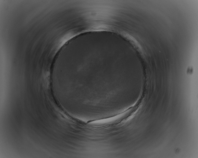 X0000102341457200808081119