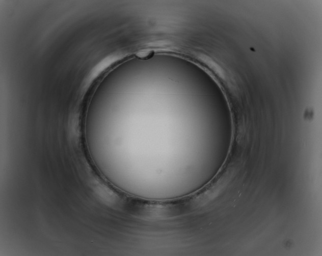 X0000102341458200808081119