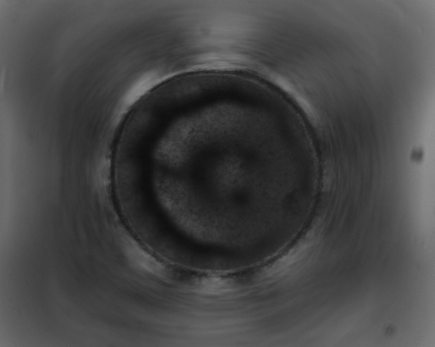 X0000102341459200808081119