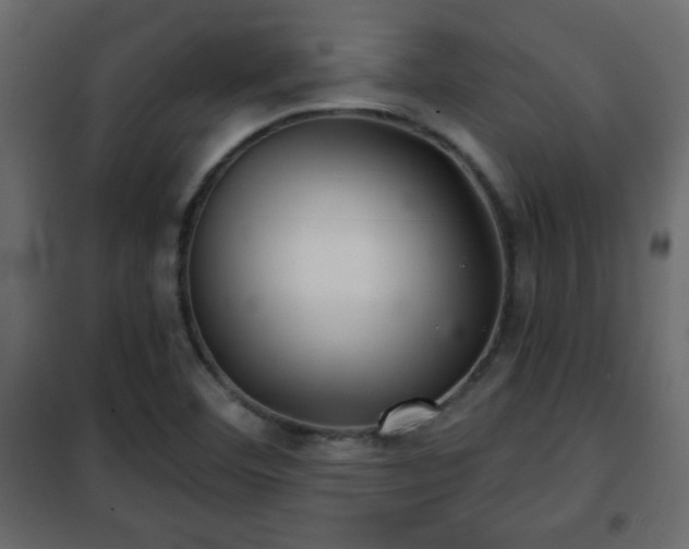 X0000102341460200808081119