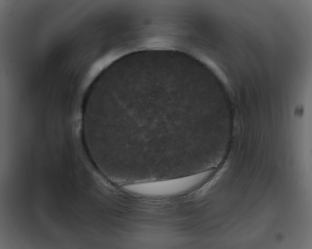 X0000102341461200808081119