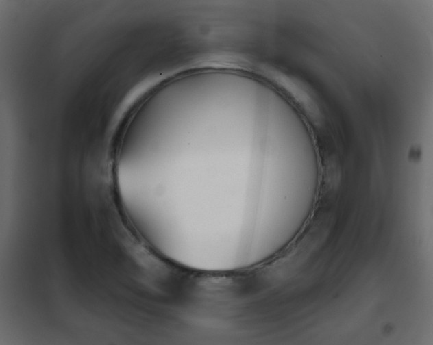 X0000102341462200808081119