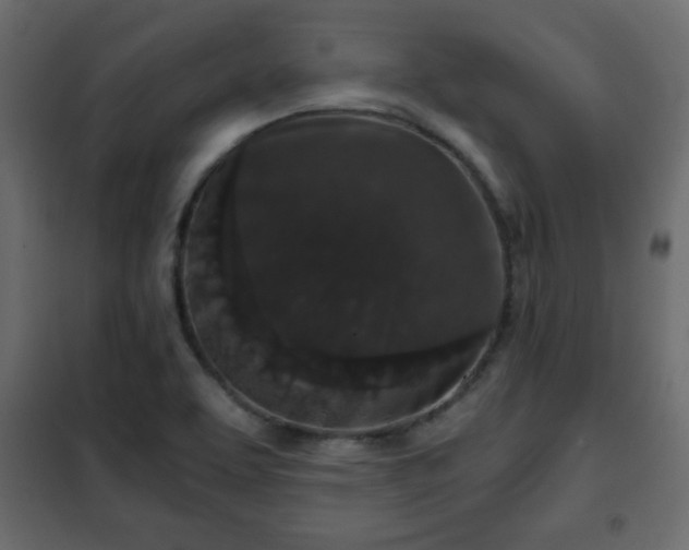 X0000102341463200808081119