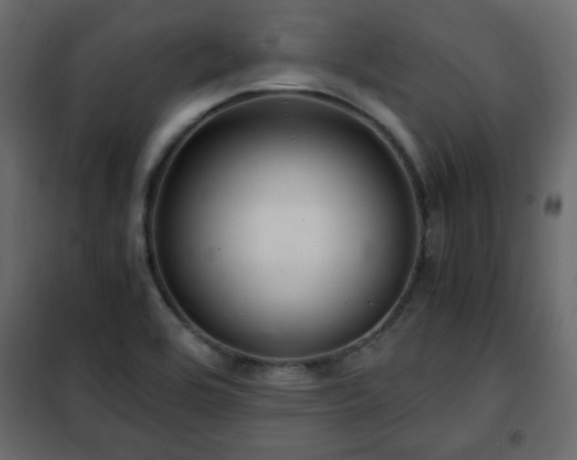 X0000102341464200808081119