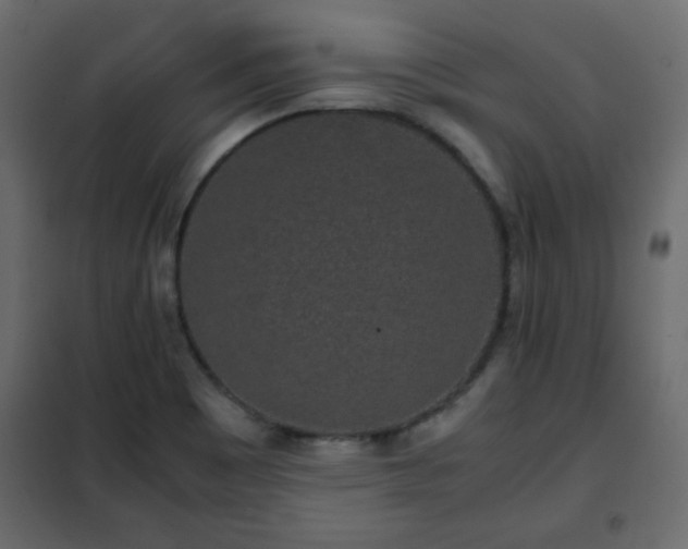 X0000102341465200808081119