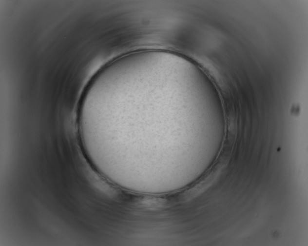 X0000102341466200808081119